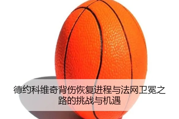de-yue-ke-wei-qi-bei-shang-hui-fu-jin-cheng-yu-fa-wang-wei-mian-zhi-lu-de-tiao-zhan-yu-ji-yu-2-809.jpg