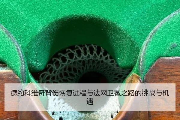 de-yue-ke-wei-qi-bei-shang-hui-fu-jin-cheng-yu-fa-wang-wei-mian-zhi-lu-de-tiao-zhan-yu-ji-yu-3-292.jpg